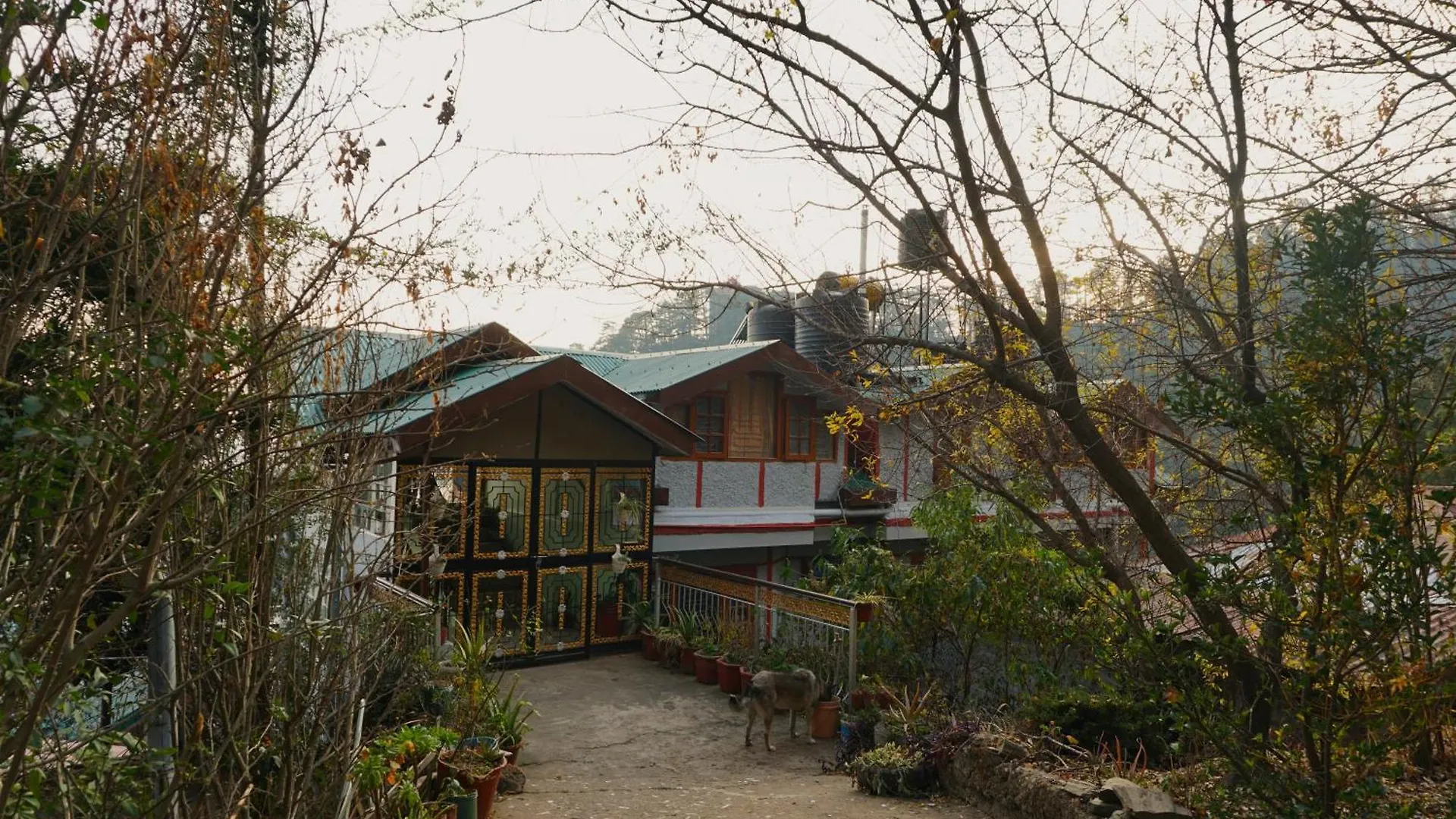 Kalta'S Homestay Shimla